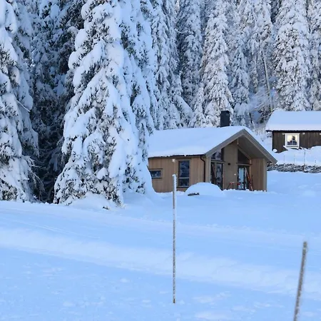 Skeikampen