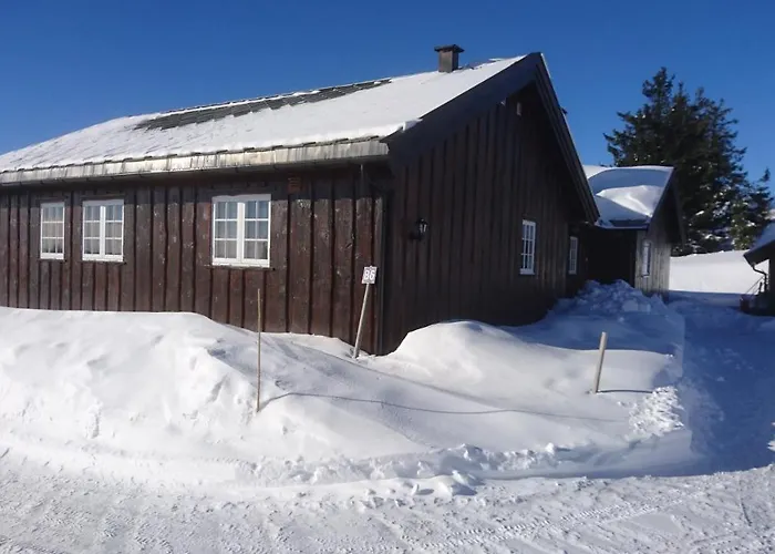 Skeikampen Semesterbostad Svingvoll