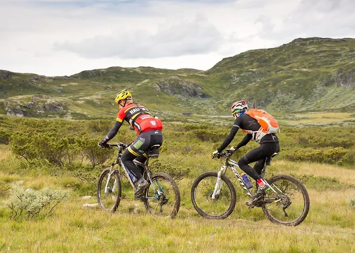Semesterbostad Skeikampen Svingvoll