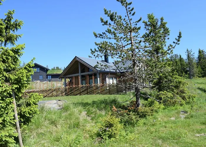 Semesterbostad Skeikampen *