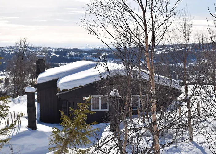 Skeikampen Semesterbostad *