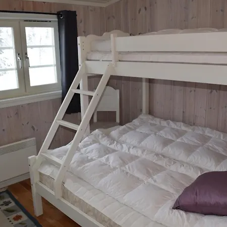 Ferienhaus Skeikampen *