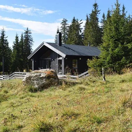Ferienhaus Skeikampen Svingvoll